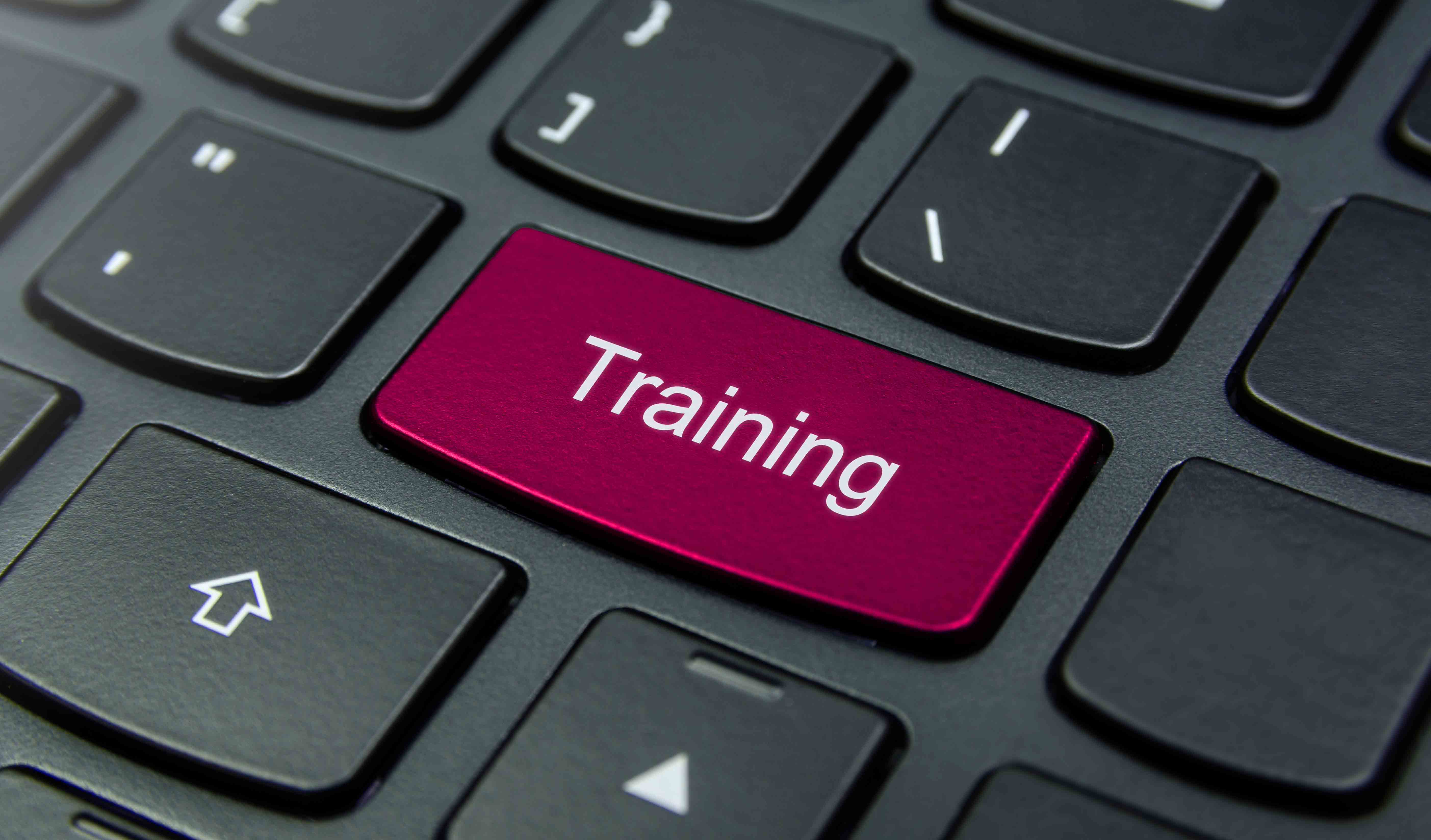 The Future of Employee Training