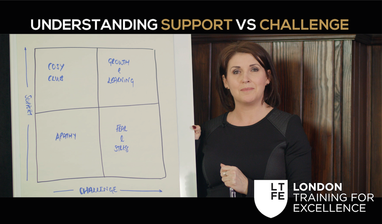 Understanding SUPPORT vs CHALLENGE Model in Business Leadership