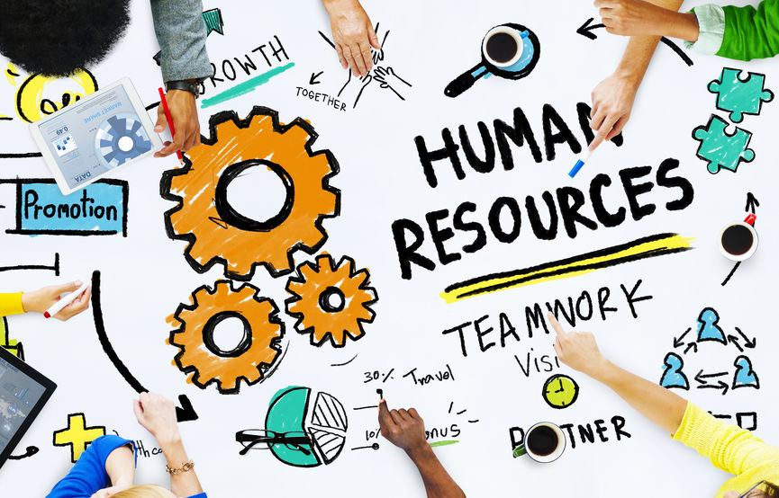 Key skills needed to succeed in HR